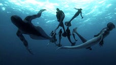 Forget Shark Week, it’s time for Monster Week